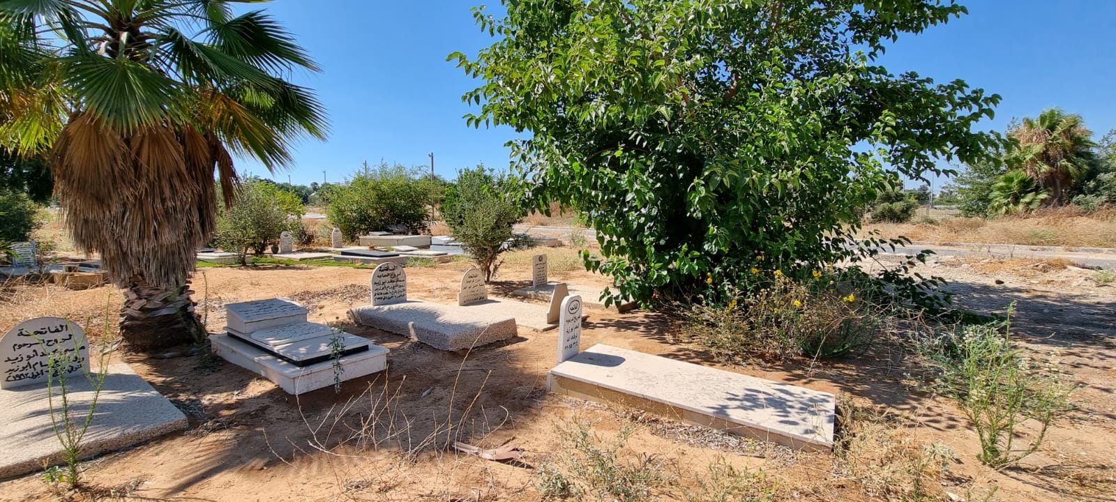 WhatsApp Image 2021-07-06 at 9.37.17 AM (1).jpeg